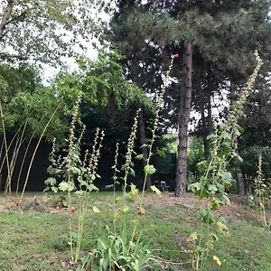 Tra S.orsola E Fiera Appartamento